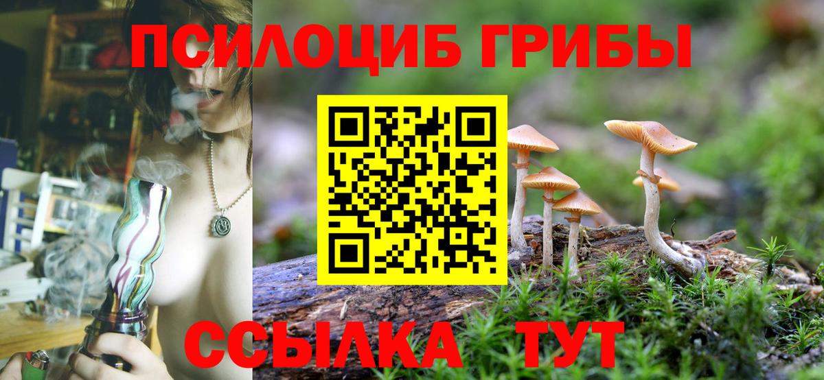 Псилоцибиновые грибы Magic Shrooms  Вход с VPN  Гатчина 